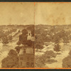 View of Macon, from Court House Dome north west.