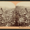 Family of cotton pickers, Ga.