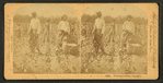 Piking cotton, Georgia.