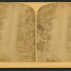 Toccoa Falls, near Tallulah, Georgia.