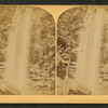 Toccoa Falls, near Tallulah, Georgia.