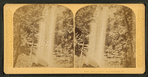 Toccoa Falls, near Tallulah, Georgia.