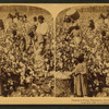 Cotton is king - A plantation scene, Georgia.