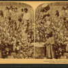 Cotton is king - A plantation scene, Georgia.