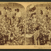 Cotton is king - A plantation scene, Georgia.