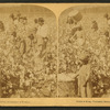 Cotton is king - A plantation scene, Georgia.