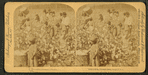 Cotton is king - A plantation scene, Georgia.