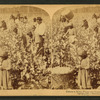 Cotton is king - A plantation scene, Georgia.