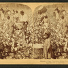 Cotton is king - A plantation scene, Georgia.