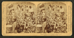Cotton is king - A plantation scene, Georgia.