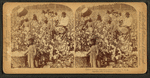 Cotton is king - A plantation scene, Georgia.