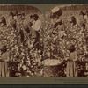 Cotton is king - A plantation scene, Georgia.