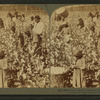 Cotton is king - A plantation scene, Georgia.