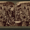 Cotton is king - A plantation scene, Georgia.