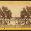 Group under Palmetto.