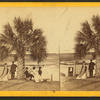 Group under Palmetto.
