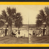 Group under Palmetto.