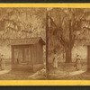 Coming from the well, Wormsloe, the DeRenne Plantation, Isle of Hope.