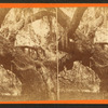 Large Oak tree covered with Spanish moss.