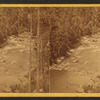 River just above Rapids.