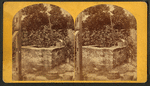 Old Spanish well.