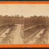 Rice field and dyke.