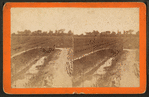 Rice field and dyke.