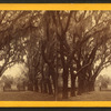 Bonaventure Cemetery.