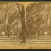 Moss Avenue, Bonaventure Cemetery, Savannah, Ga.