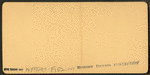 Hanging Moss, Bonaventure, Ga.