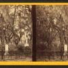 Bonaventure Cemetery.