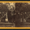 Stereoscopic views of cemeteries in Savannah, Georgia.
