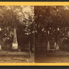 Com. Tatnall's lot, Bonaventure.