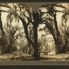 Bonaventure Cemetery, Savannah, Ga.