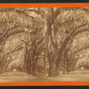 Bonaventure Cemetery near Savannah.