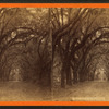 Avenue in Bonaventure.