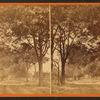 Laurel Grove Cemetery.