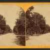 Grand Promenade, Forsyth Park.