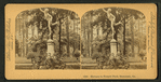Mercury in Forsyth Park, Savannah, Ga.
