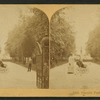 Forsyth Park, Savannah, Ga. [View of an African-American woman with a baby carriage.]