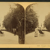 Forsyth Park, Savannah, Ga. [View of an African-American woman with a baby carriage.]