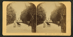 Forsyth Park, Savannah, Ga. [View of an African-American woman with a baby carriage.]