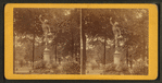 Statuary in the Park. [View of Mercury statue.]