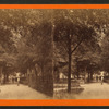Promenade in Park.