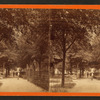 Promenade in Park.