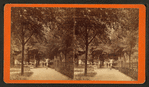 Promenade in Park.