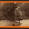 Walk in Park.