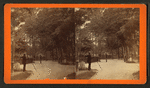 Walk in Park.