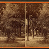Forsyth Park, Savannah, Ga.