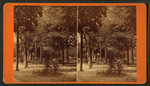 Forsyth Park, Savannah, Ga.